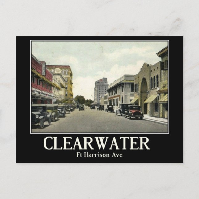 Clearwater FL, Florida, Vintage Postcard (Front)