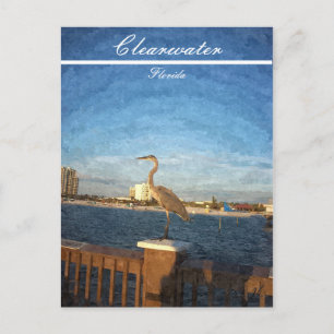 Clearwater Florida Beach Scene Postcard
