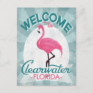 Clearwater Florida Pink Flamingo Retro Postcard