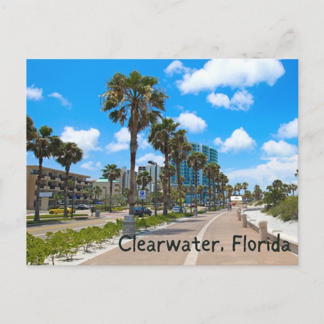 clearwater florida postcard (Front)