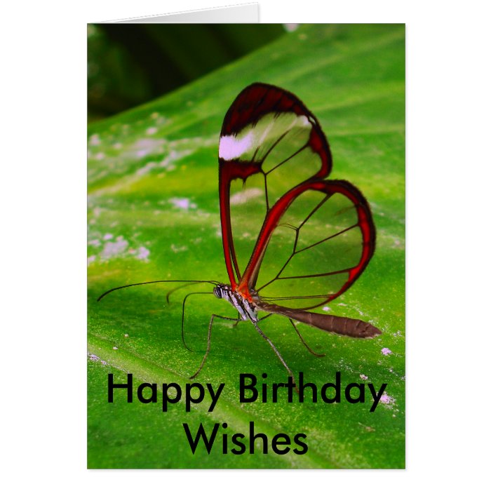 clearwing, Happy Birthday Wishes Greeting Card