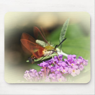 Clearwing Hawk Moth - Hemaris thysbe Mouse Pad