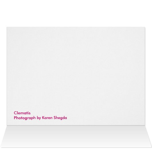 Clematis (Inside Horizontal (Top))