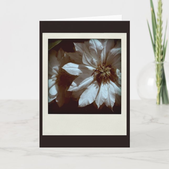 Clematis 1 Condolences Sympathy Note card (Front)