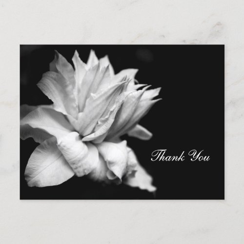 Clematis 1c Memorial Sympathy Thank You Postcard