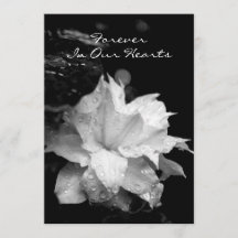 Clematis 2a Dewdrops Funeral Memorial Announcement