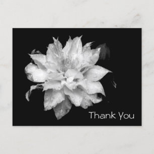 Clematis 3b Memorial Sympathy Thank You Postcard