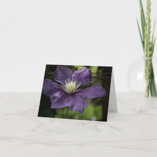Clematis 8510 Card