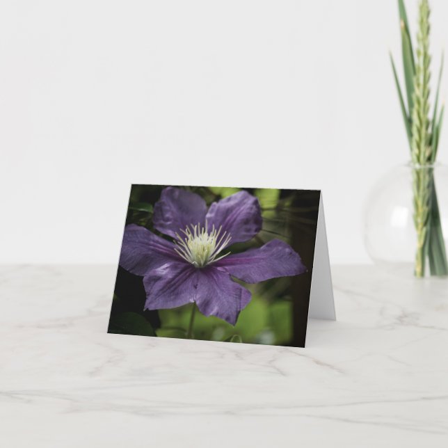 Clematis 8510 Card (Front)