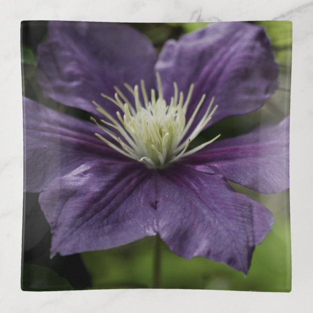 Clematis 8510 trinket tray (Front)