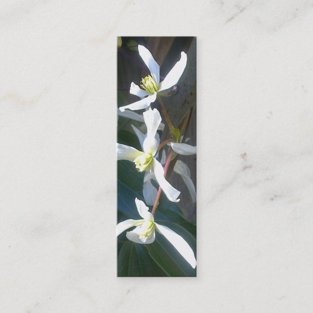 Clematis Armandii Blossom Bookmark Business Card (Front)