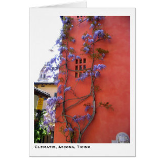 Clematis, Ascona, Ticino Cards