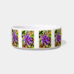 CLEMATIS BOWL<br><div class="desc">A pretty clematis flower. 


com</div>