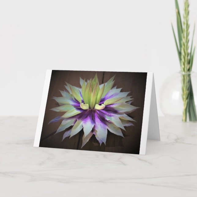 Clematis, card (Front)