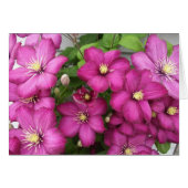 Clematis Card (Front Horizontal)