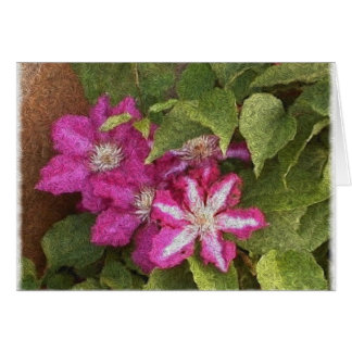 clematis cards