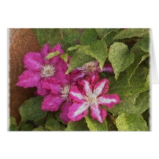 clematis cards (Front Horizontal)