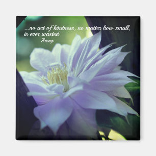 Clematis Flower Kindness Inspirational  Magnet