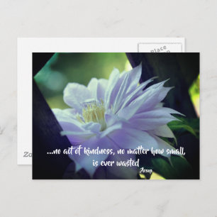 Clematis Flower Kindness Inspirational Quote Postcard