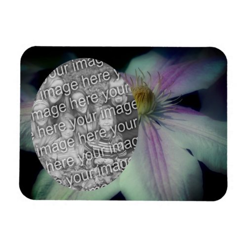 Clematis Flower Petals Frame Create Your Own Photo Magnet