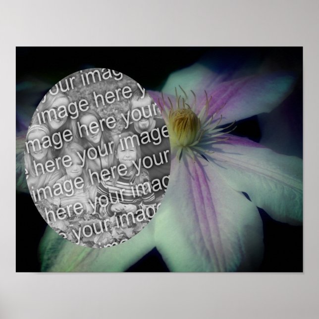 Clematis Flower Petals Frame Create Your Own Photo Poster (Front)