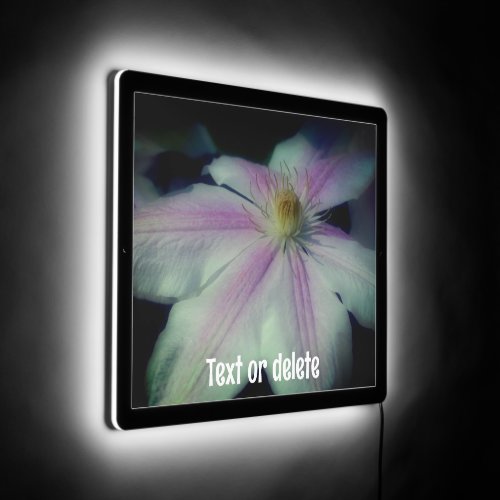 Clematis Flower Petals Up Close Personalized LED Sign