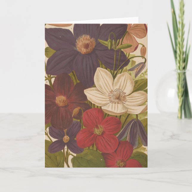 Clematis | George Nicholson Card (Front)