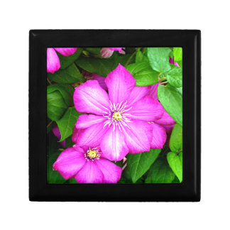 Clematis Gift Box