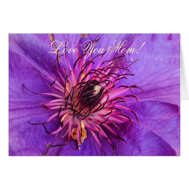 CLEMATIS GRETTINGS CARD (Front Horizontal)