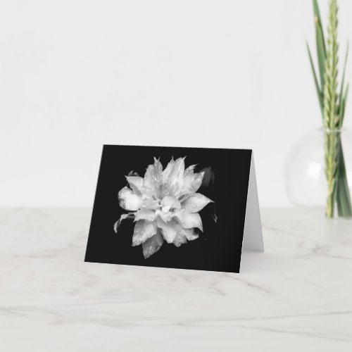 Clematis H 2 Blank Note Card Condolences Sympathy