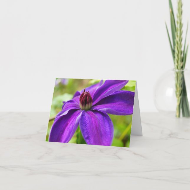 Clematis Hello! Card (Front)