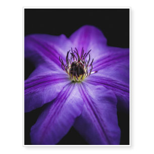 Clematis in Bloom Temporary Tattoos