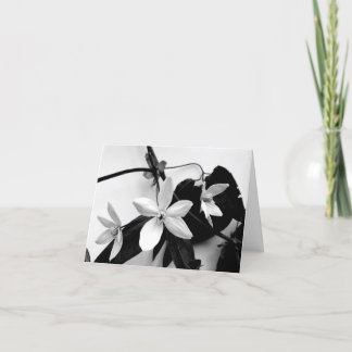 Clematis in Monochrome Notecard