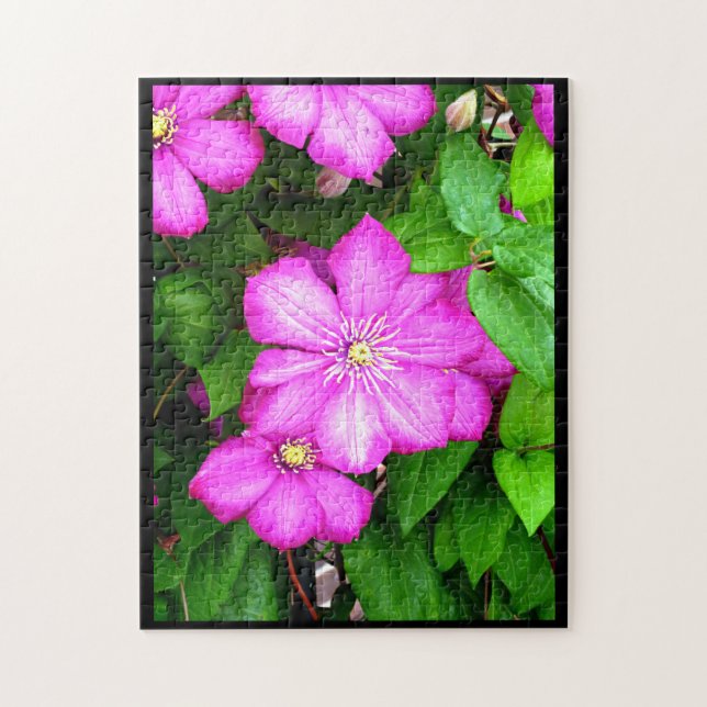 Clematis Jigsaw Puzzle (Vertical)