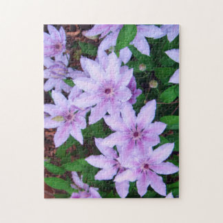 *Clematis* Jigsaw Puzzle