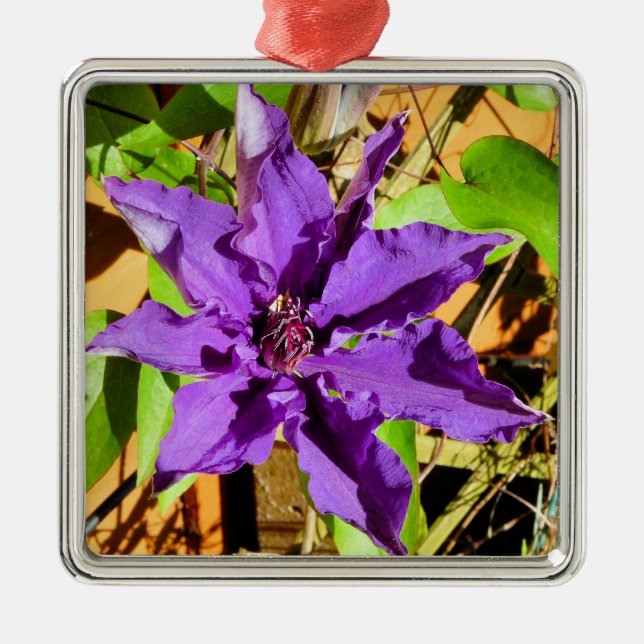 CLEMATIS METAL ORNAMENT (Front)