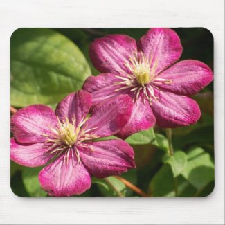 Clematis Mouse Pad