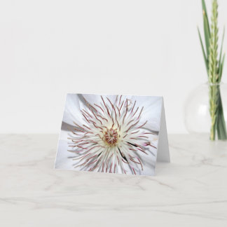 Clematis Notecard