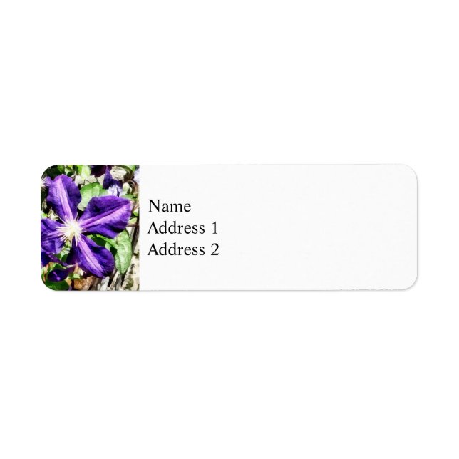 Clematis on a Stone Wall Label (Front)