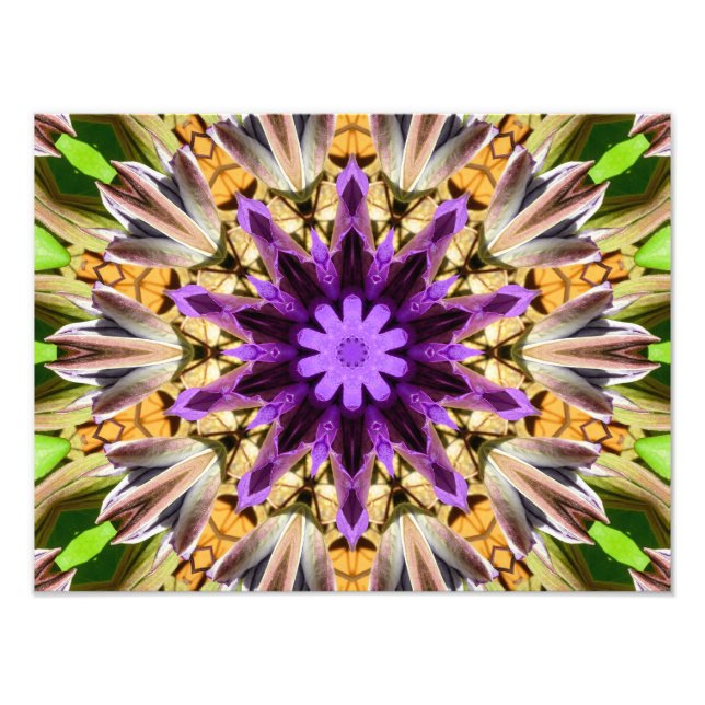 CLEMATIS PHOTO PRINT (Front)