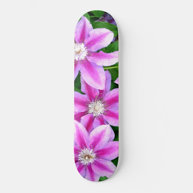 Clematis, pink flowers  skateboard (Front)