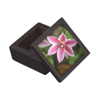 Clematis Premium Gift Box