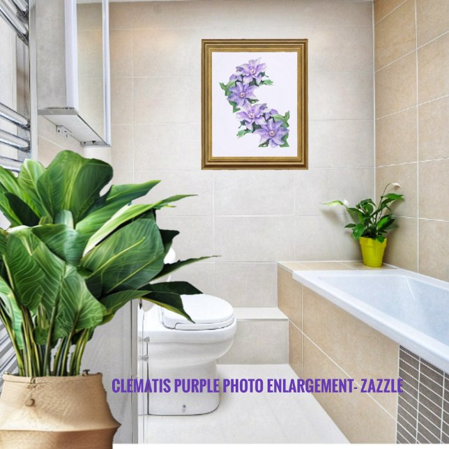Clematis Purple Photo Enlargement Print (Creator Uploaded)