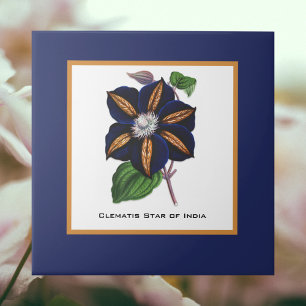 Clematis Star of India Botanical Illustration Ceramic Tile