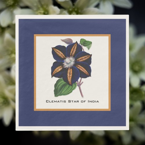 Clematis Star of India Botanical Illustration  Napkins