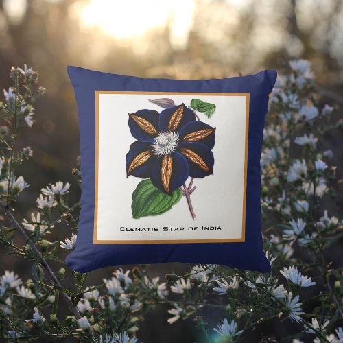 Clematis Star of India Botanical Illustration Throw Pillow