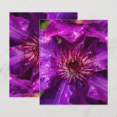 Clematis The President (Front/Back)