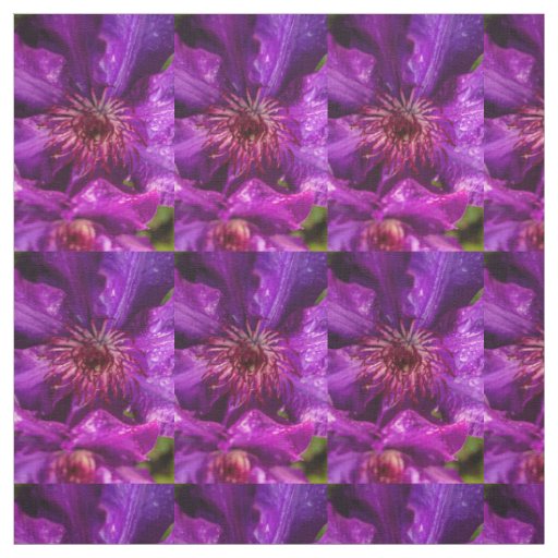 Clematis The President Fabric