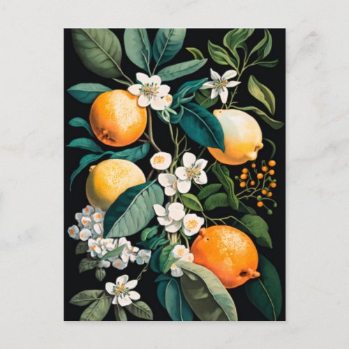 Clementine Mandarine Holiday Postcard