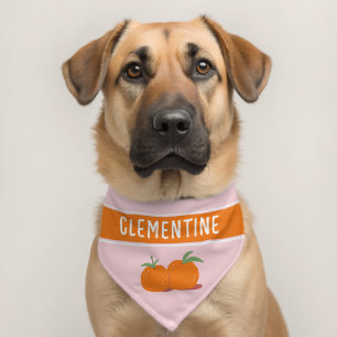 Clementine Pet Bandana Collar